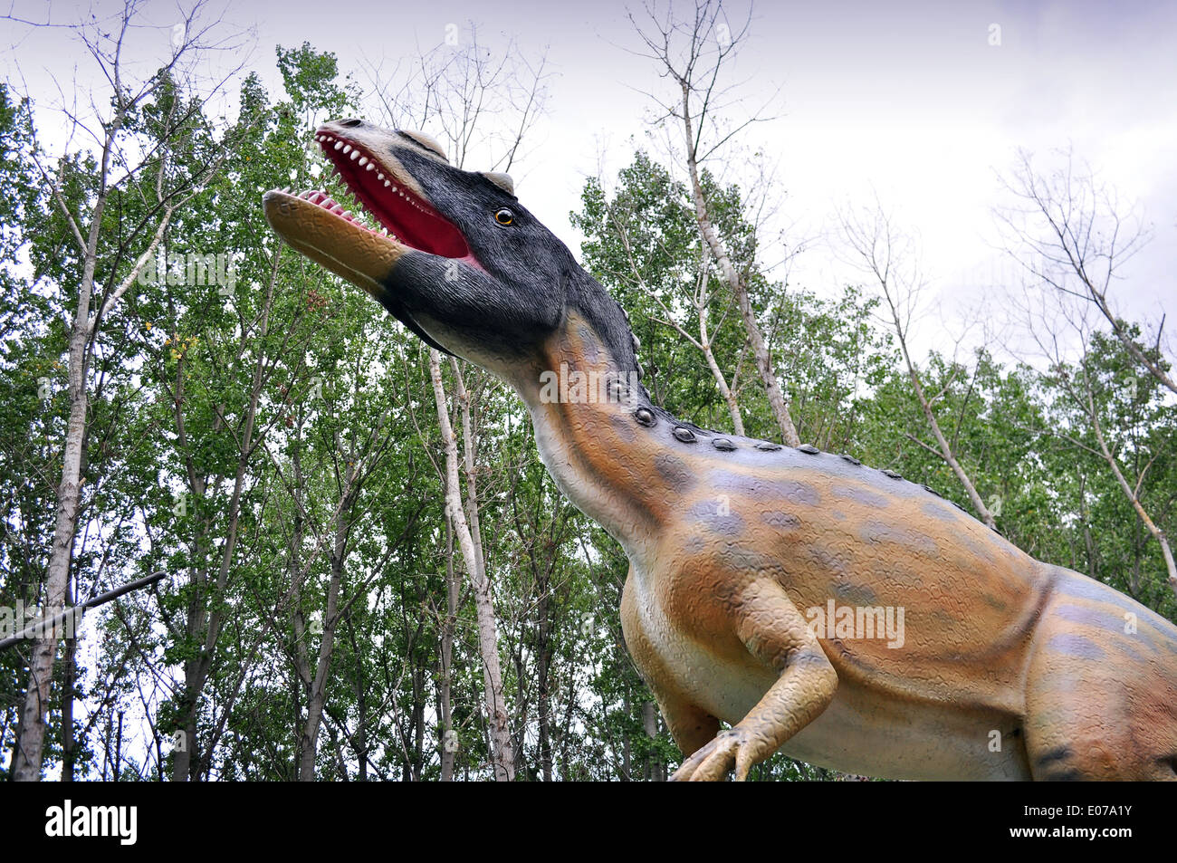 Dinosaure Banque D'Images