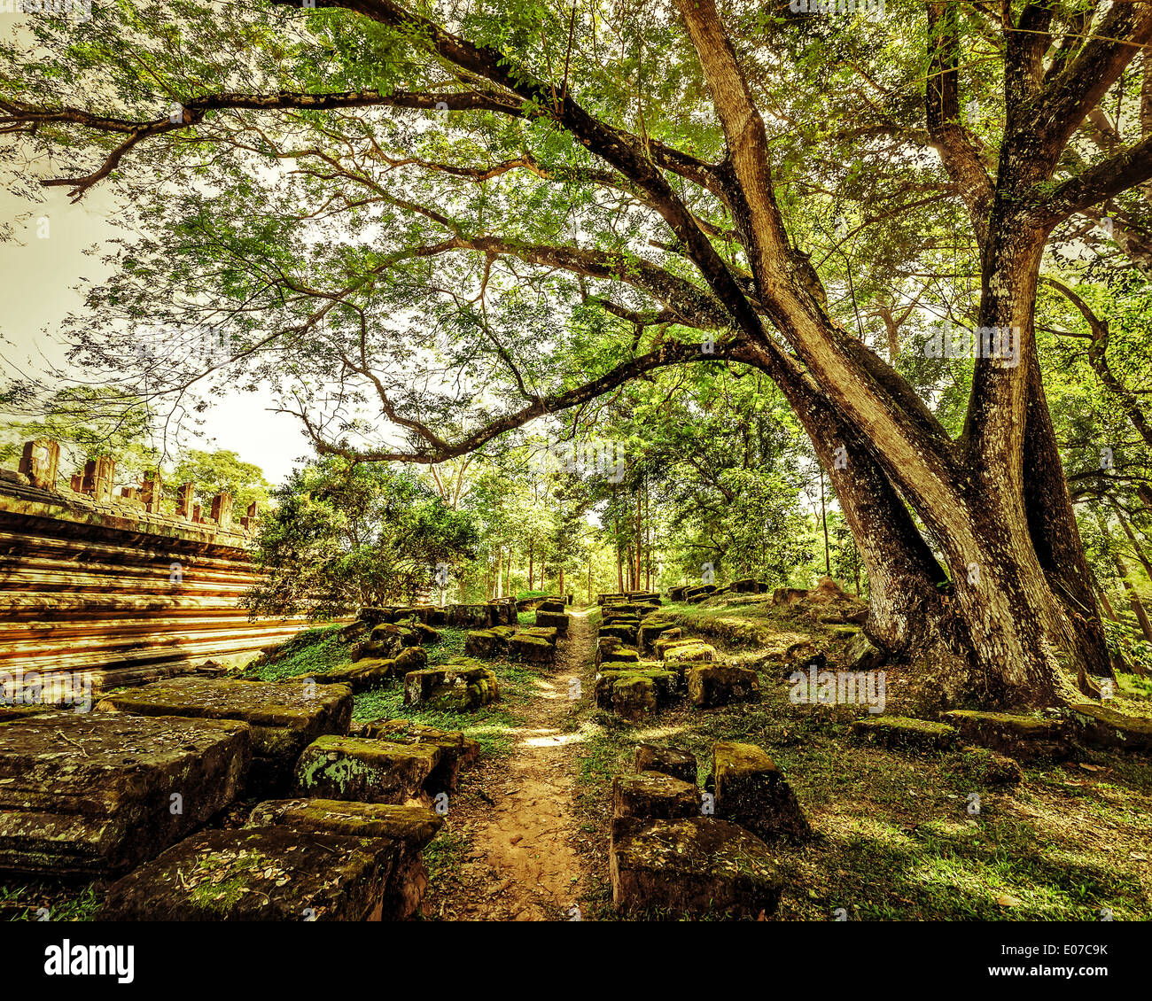 Extérieur parc paysage de style vintage à vide, en passant par les ruines anciennes complexe d'Angkor Wat à Siem Reap des forêts tropicales Banque D'Images