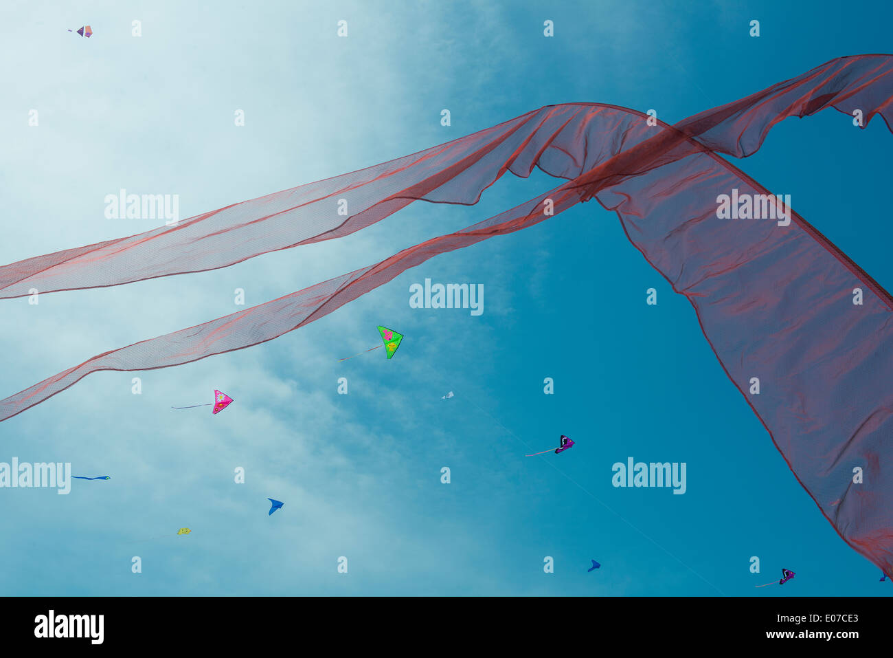 Cerfs-volants sur la plage Banque D'Images