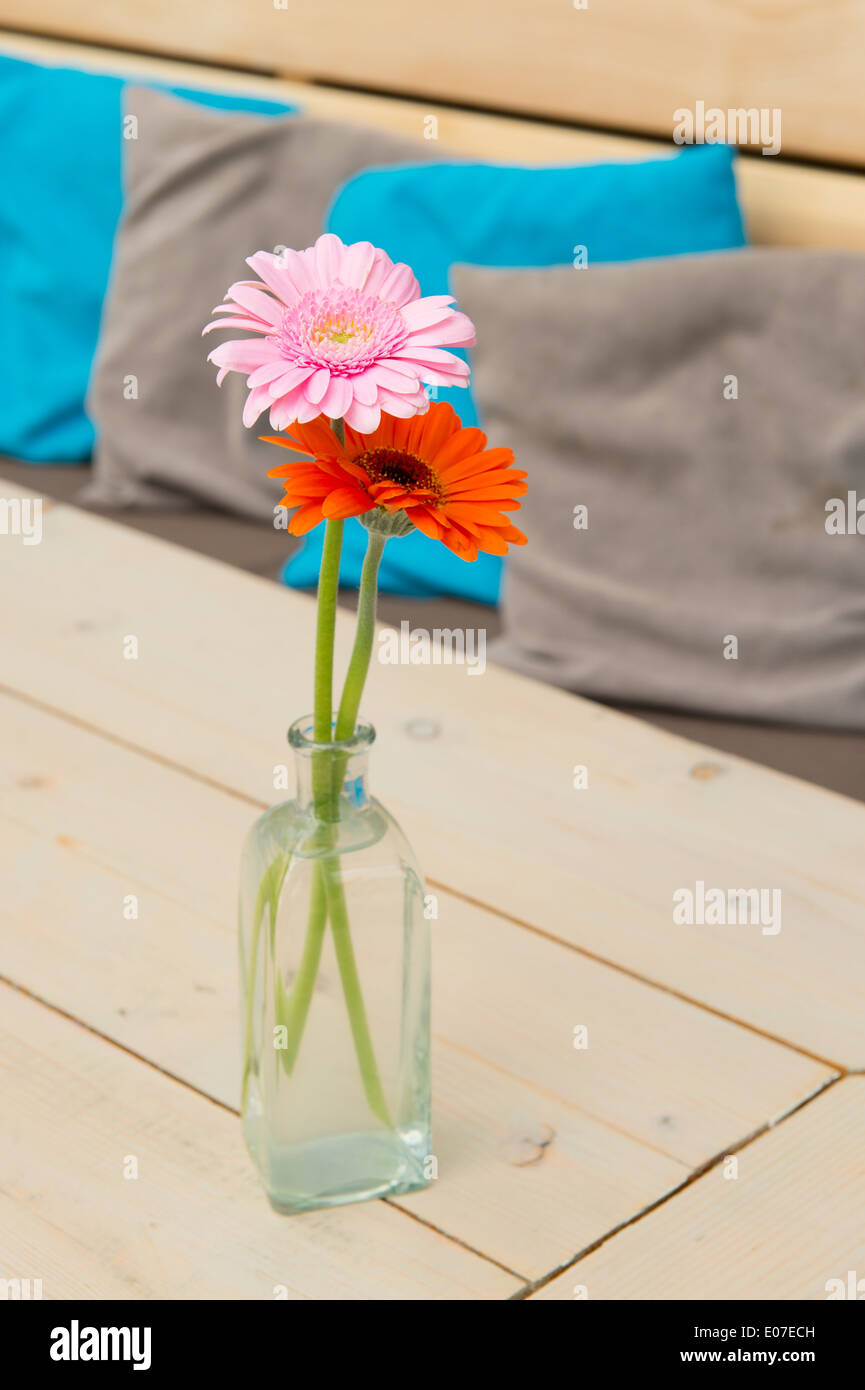 Vase en verre avec Gerber fleurs dans l'intérieur Banque D'Images