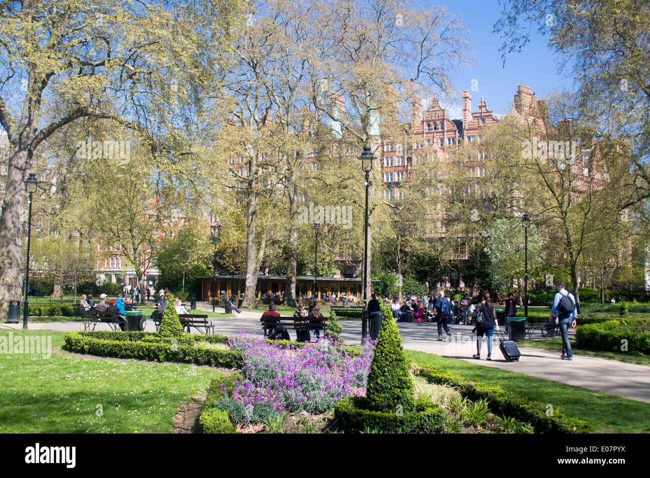 Russell Square au printemps avec des gens assis, marcher, se détendre avec fleurs violettes en premier plan Bloomsbury Londres Angleterre Royaume-uni Banque D'Images
