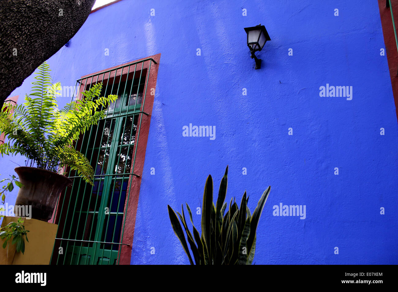 L'extérieur de la Maison Bleue (La Casa Azul) où vivaient Frida Kahlo, Coyoacán, Mexico City Banque D'Images