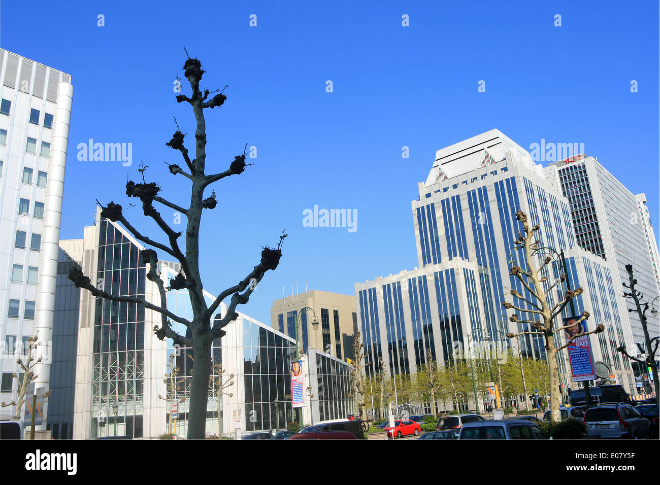 Tour de verre bâtiments dans le centre de Bruxelles contre ciel bleu avec des arbres en premier plan Banque D'Images