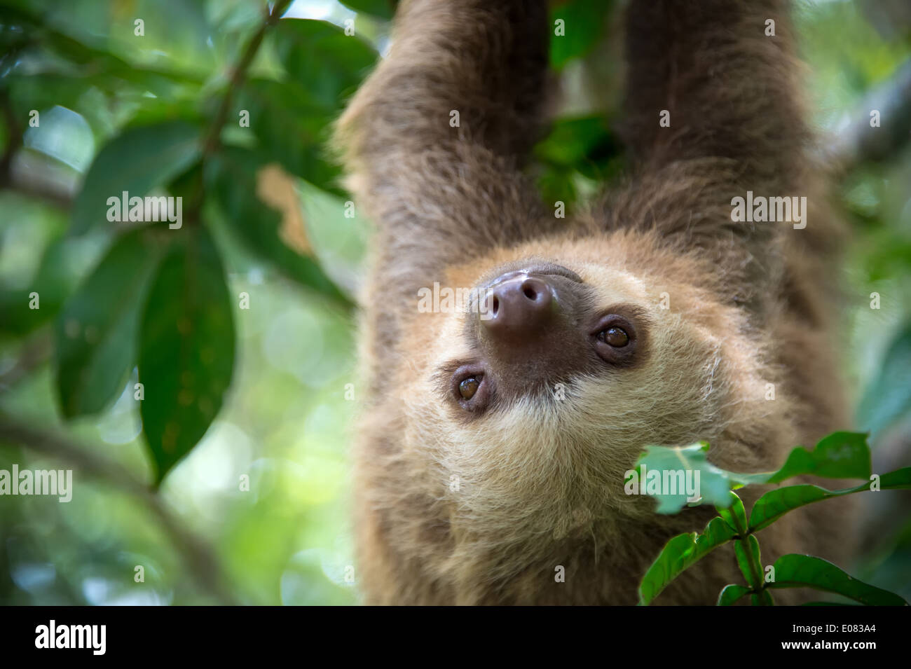 Toddmomy 2 Ensembles Carillons Éoliens Cloche À Vent En