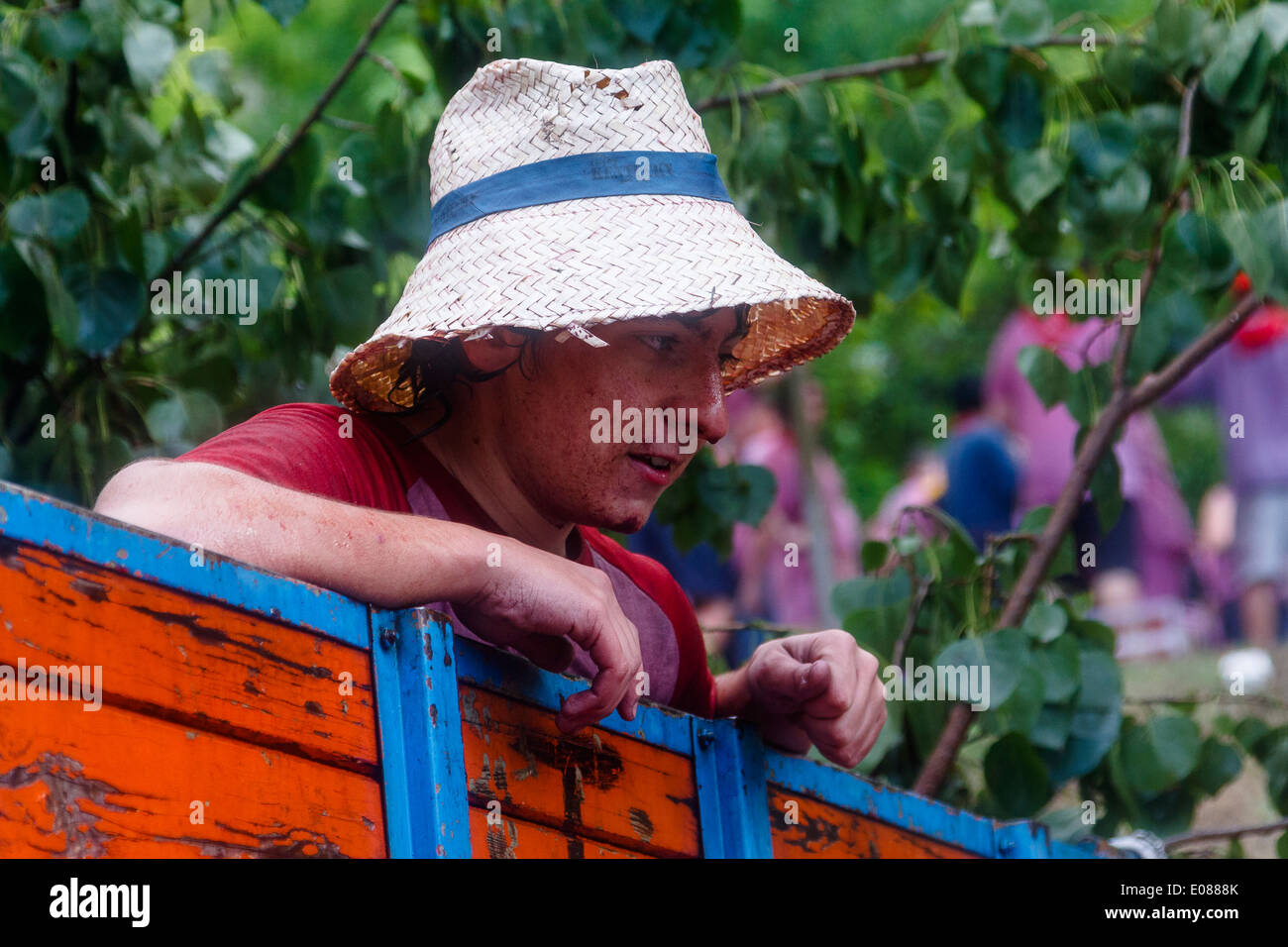 Bataille de vin. Vin rouge. Haro. La Rioja. L'Europe Banque D'Images