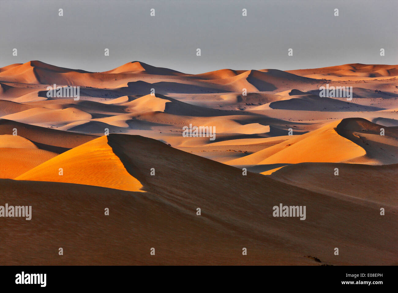 Paysage de dunes de sable dans le désert arabique. Banque D'Images