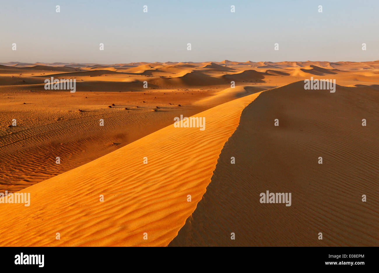 Paysage de dunes de sable dans le désert arabique. Banque D'Images