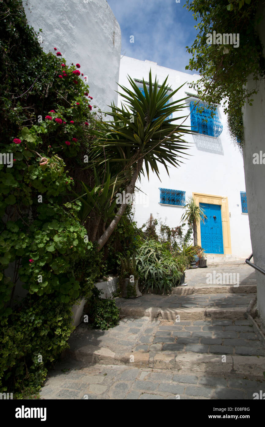 Sidi Bou Saïd, Tunisie 2014. Décorées de façon traditionnelle et porte bleu vif sur windows maison blanche Banque D'Images