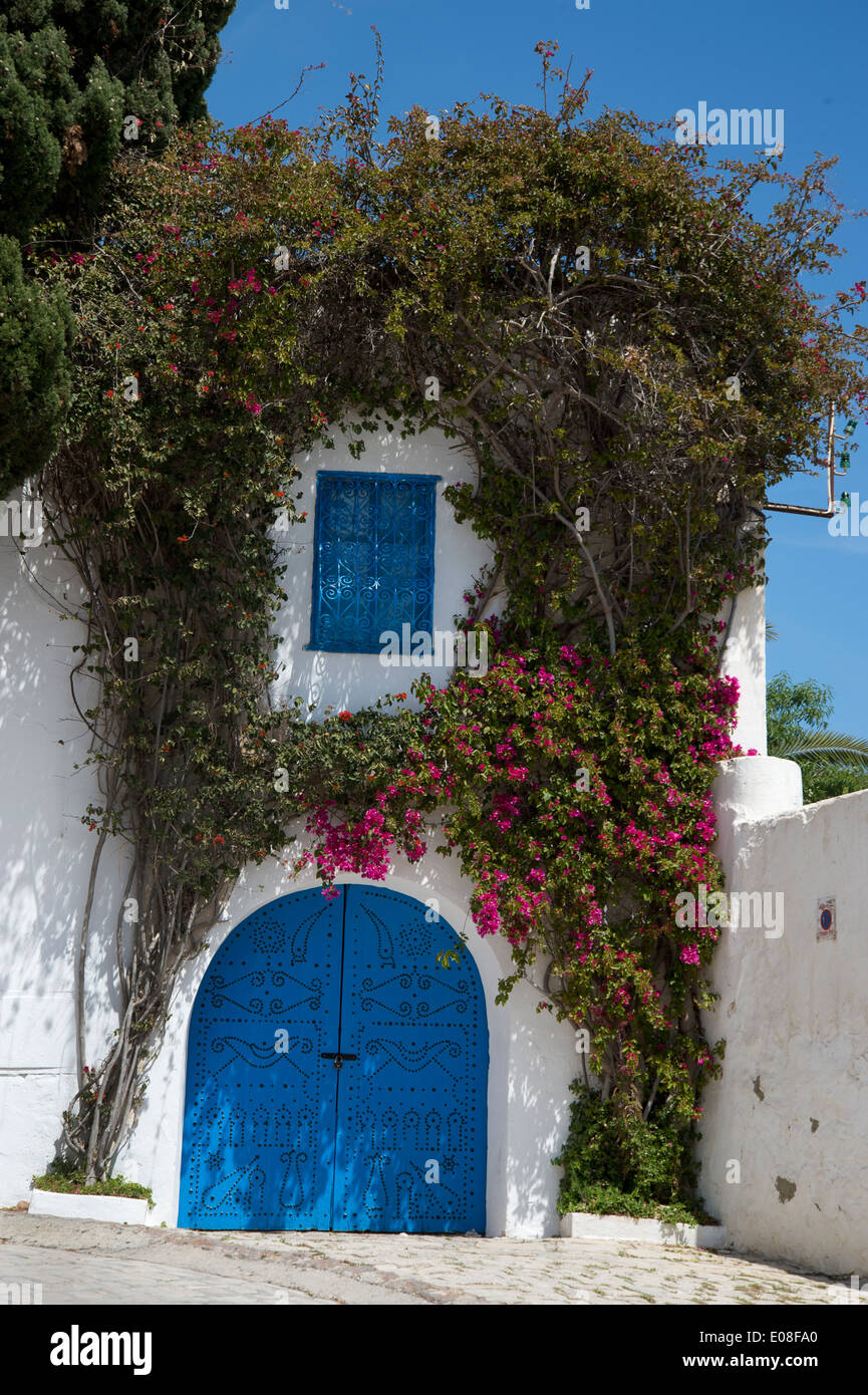 Sidi Bou Saïd, Tunisie 2014. Décorées de façon traditionnelle porte bleu vif, maison blanche et rose bougainvillea Banque D'Images