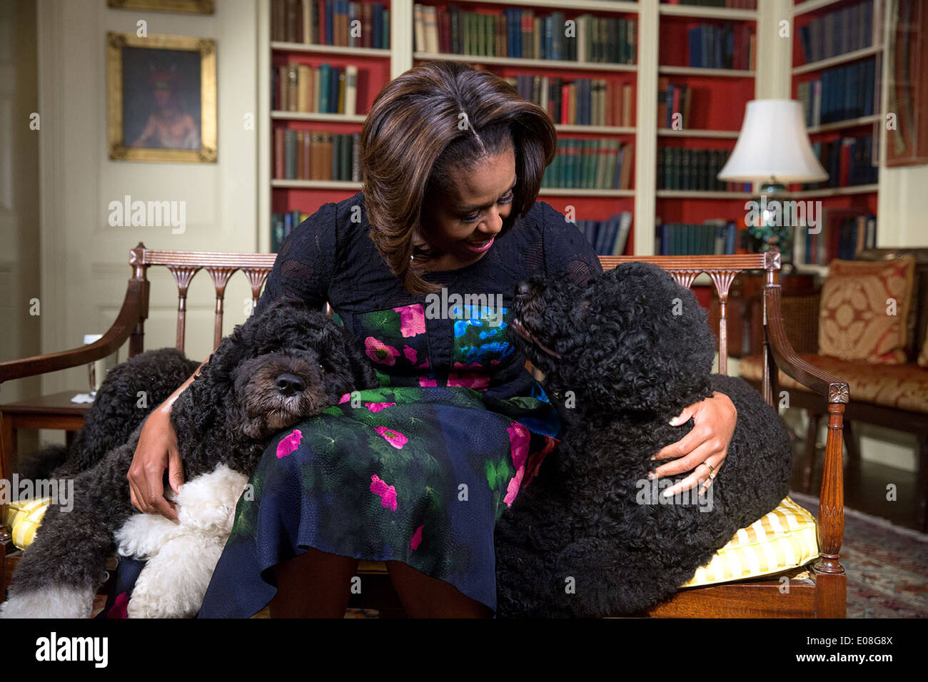 Première Dame Michelle Obama Obama avec animaux domestiques de la famille Bo, à gauche, et ensoleillé, des cassettes vidéo pour Ellen DeGeneres' 56e anniversaire à la Maison Blanche le 28 janvier 2014 Bibliothèque à Washington, DC. Banque D'Images