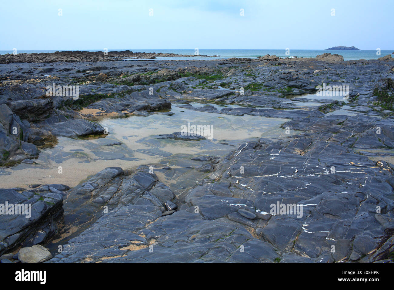 Rockpools dans The Trevone Bay, North Cornwall, England, UK Banque D'Images