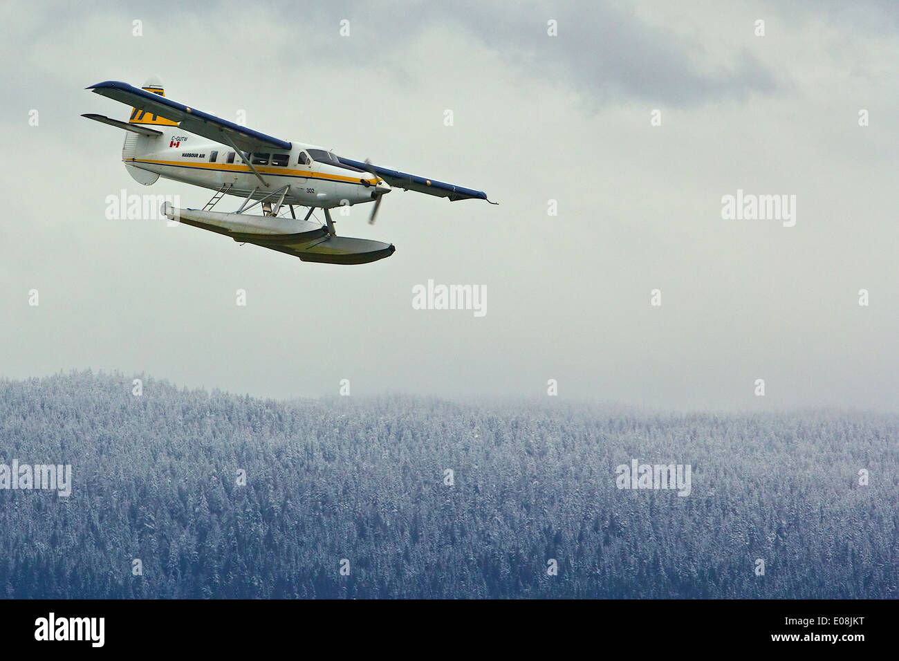 Harbour Air Seaplanes Turbo Otter hydravion survolant désert couvert de neige en Colombie-Britannique, Canada. Banque D'Images
