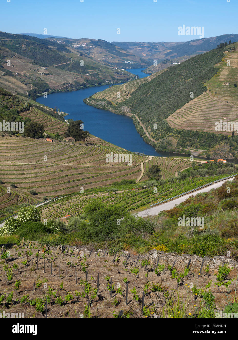 Paysage de la vallée du Douro, au nord du Portugal, Europe Banque D'Images