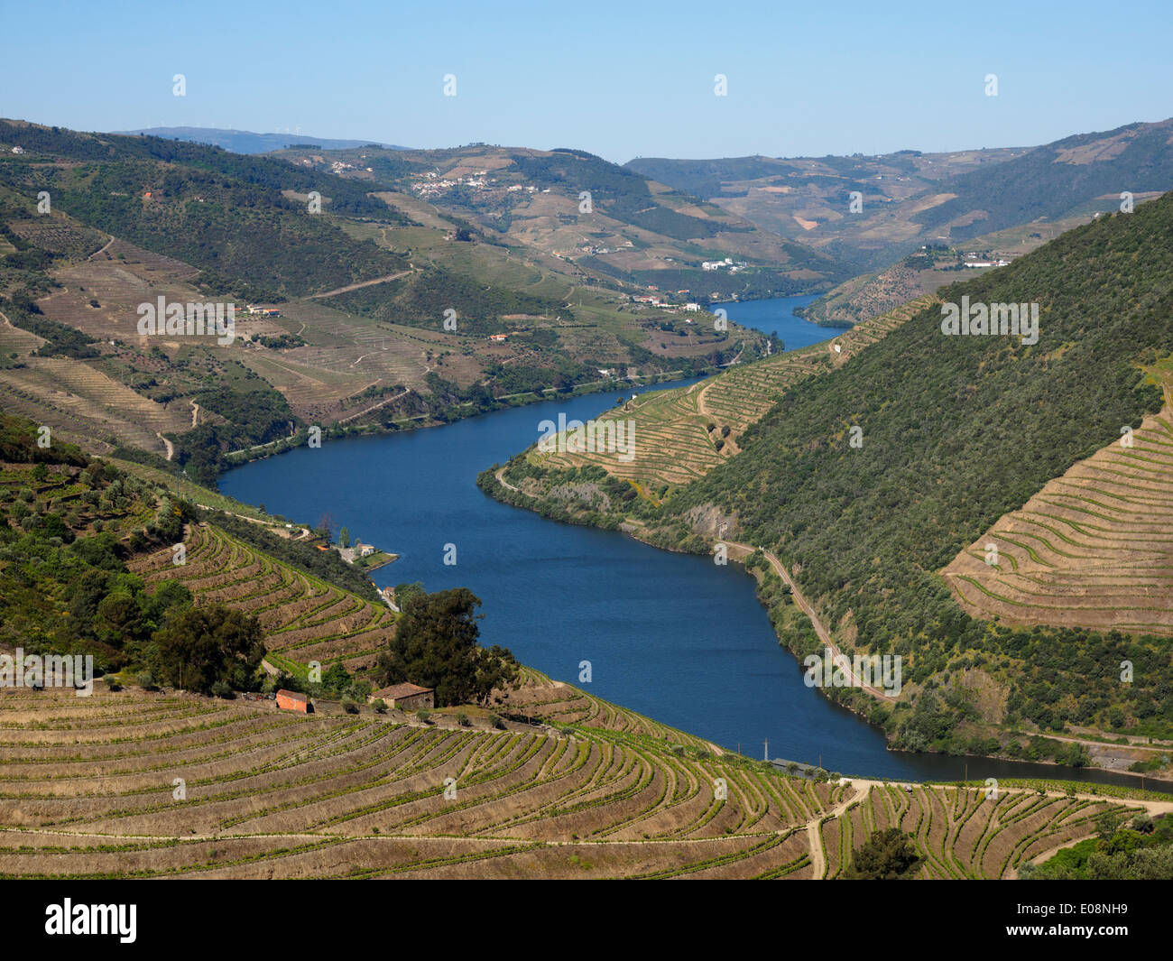 Paysage de la vallée du Douro, au nord du Portugal, Europe Banque D'Images