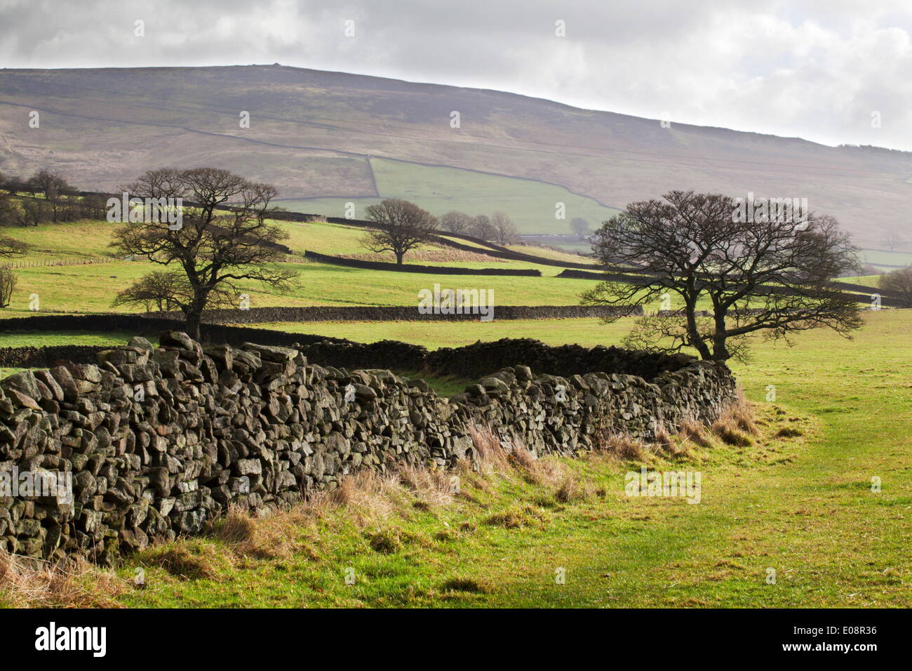 Balise de Beamsley Storiths, Yorkshire du Nord, Yorkshire, Angleterre, Royaume-Uni, Europe Banque D'Images