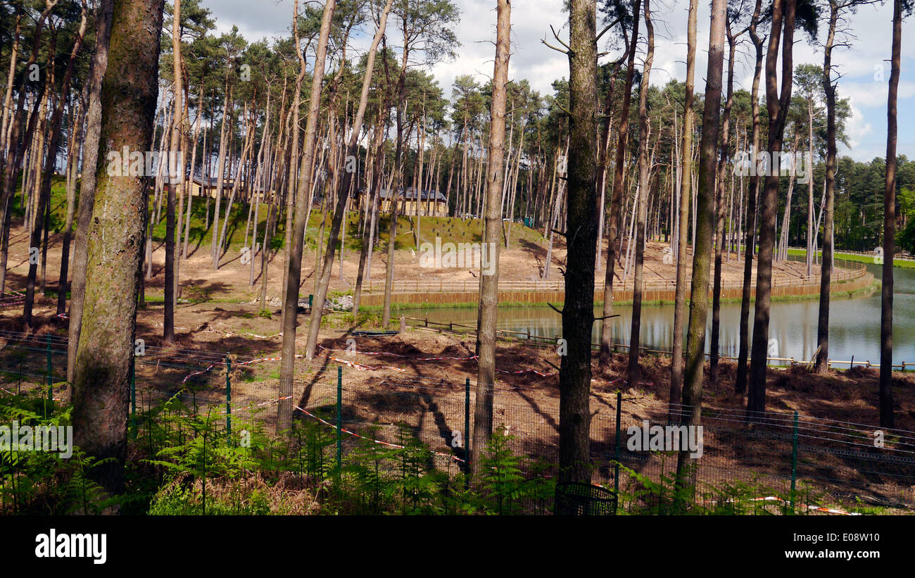 Le Woburn Forest Center Parcs de la construction du nouveau village de vacances parcs parc centre parc manoir abbatial Animaux de safari Banque D'Images