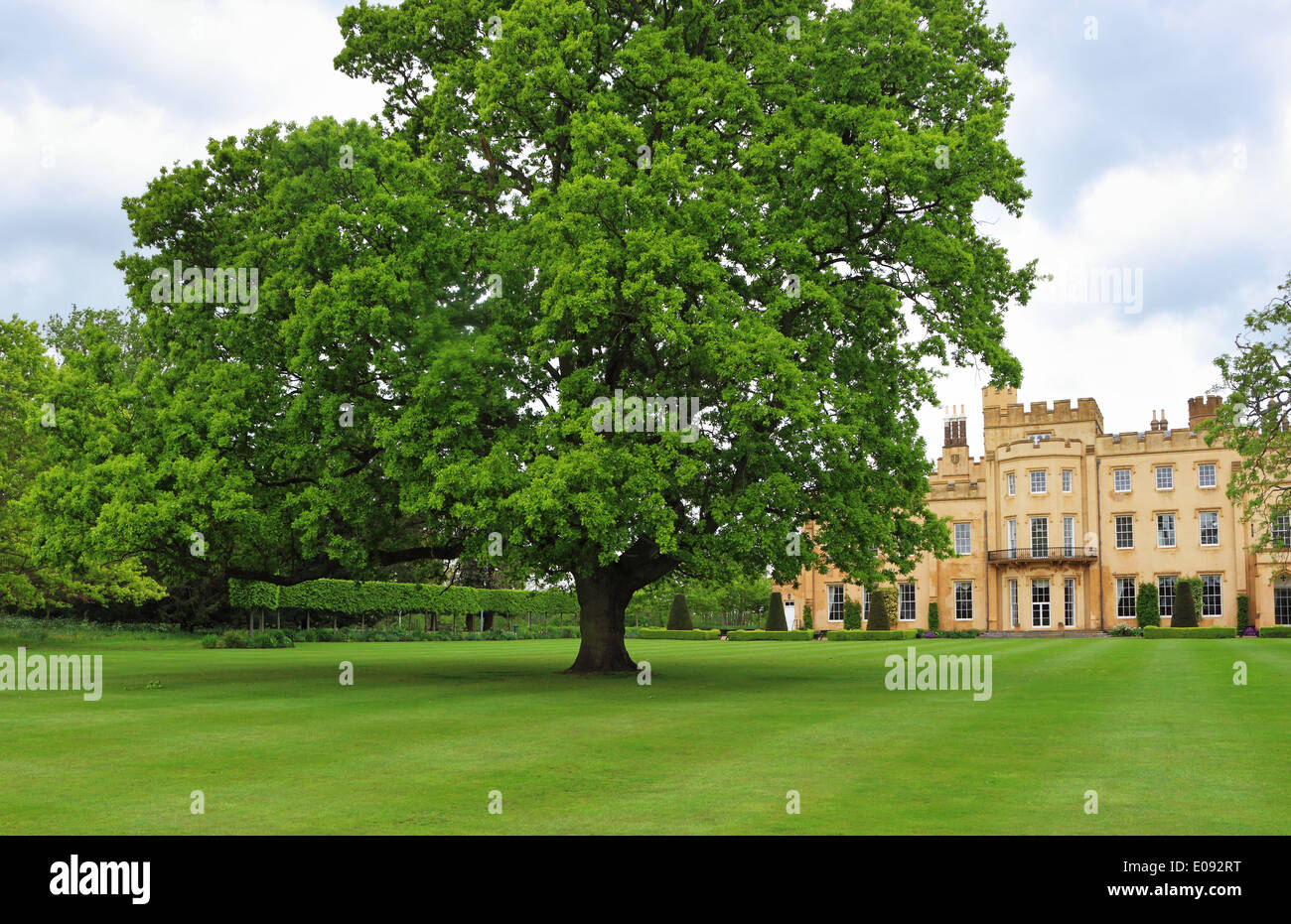 Le printemps sur un domaine avec château seigneurial et pelouse avec grand Chêne Banque D'Images