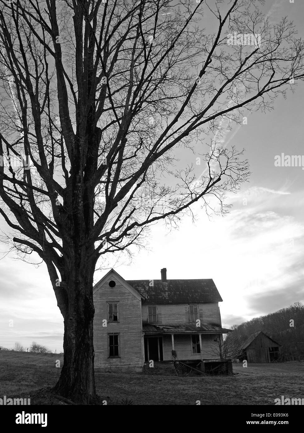 L'ombre d'un arbre et maison abandonnée près de Damas,Virginie Banque D'Images