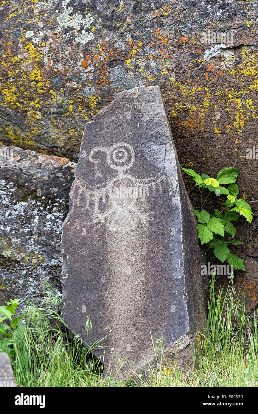 Thuunderbird Petrogylph Anerican Native Indians sur Rock Artwork at Horsethief Lake Washington Banque D'Images
