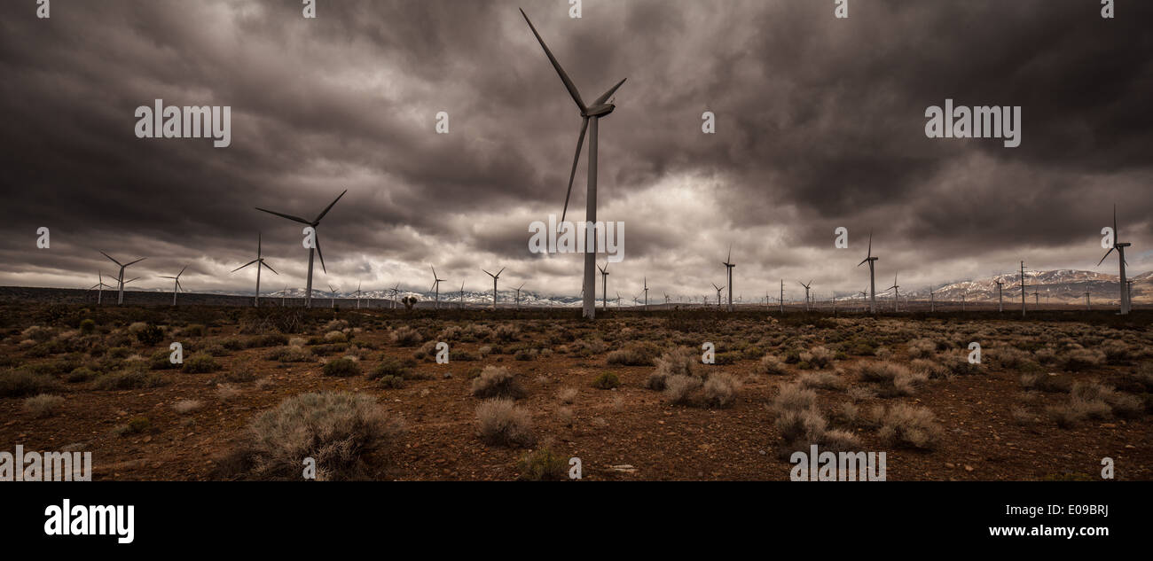 Éoliennes dans le désert Banque D'Images