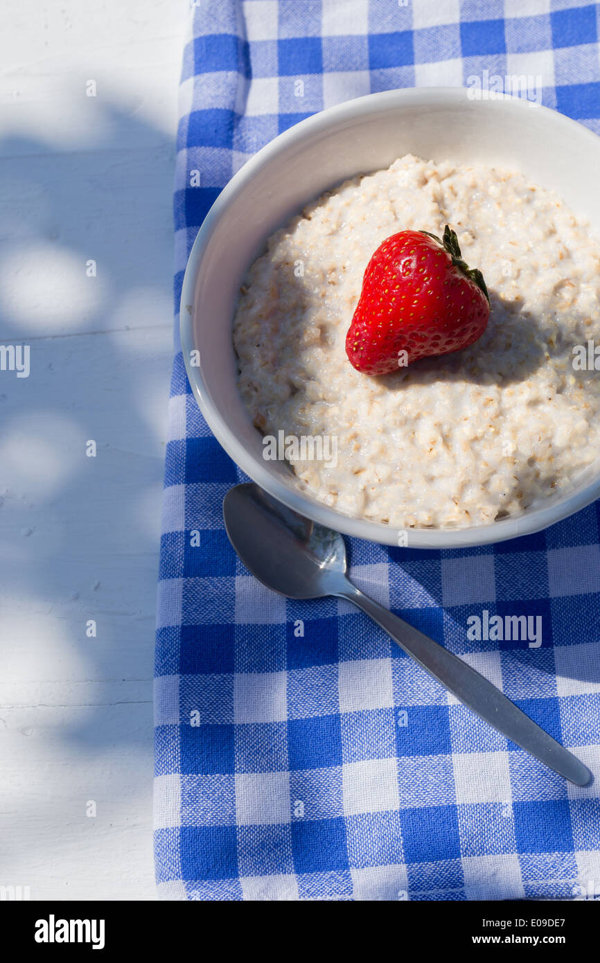 Porridge et une fraise - prises à l'extérieur à l'ombre sur un tableau blanc avec un damier bleu et blanc. Banque D'Images