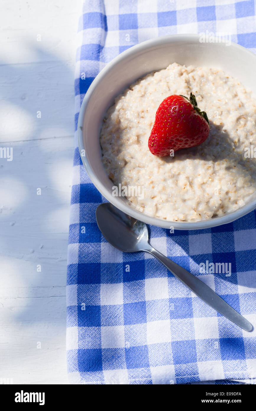 Porridge et une fraise - prises à l'extérieur à l'ombre sur un tableau blanc avec un damier bleu et blanc. Banque D'Images