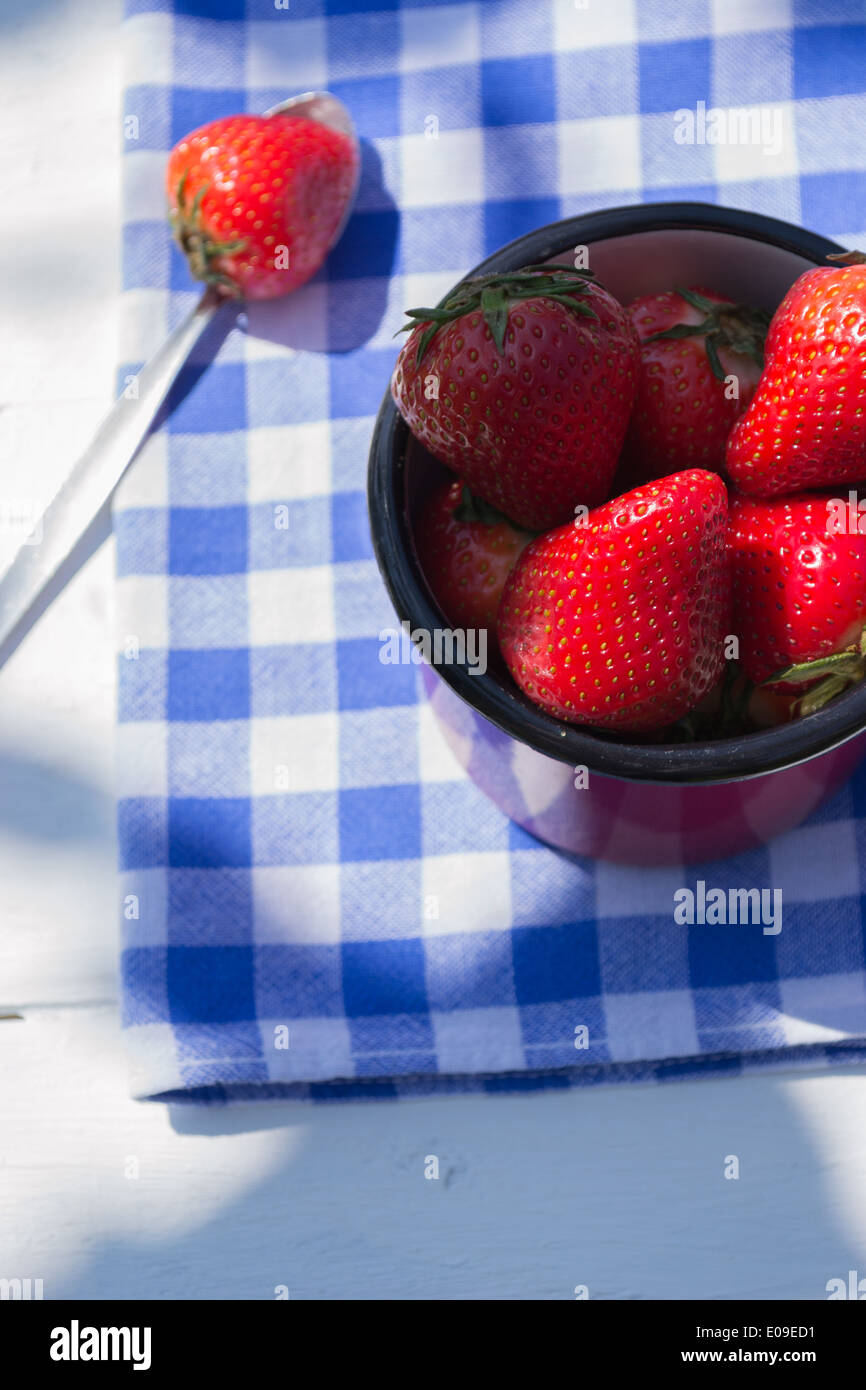 Un petit pot rouge rempli de fraises, une plus de fraise et cuillère sur un damier bleu et blanc. Banque D'Images