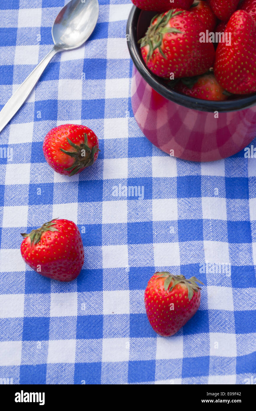 Fraises dans un petit pot et 3 fraises sur un plateau à damier bleu et blanc serviette avec une cuillère. Banque D'Images