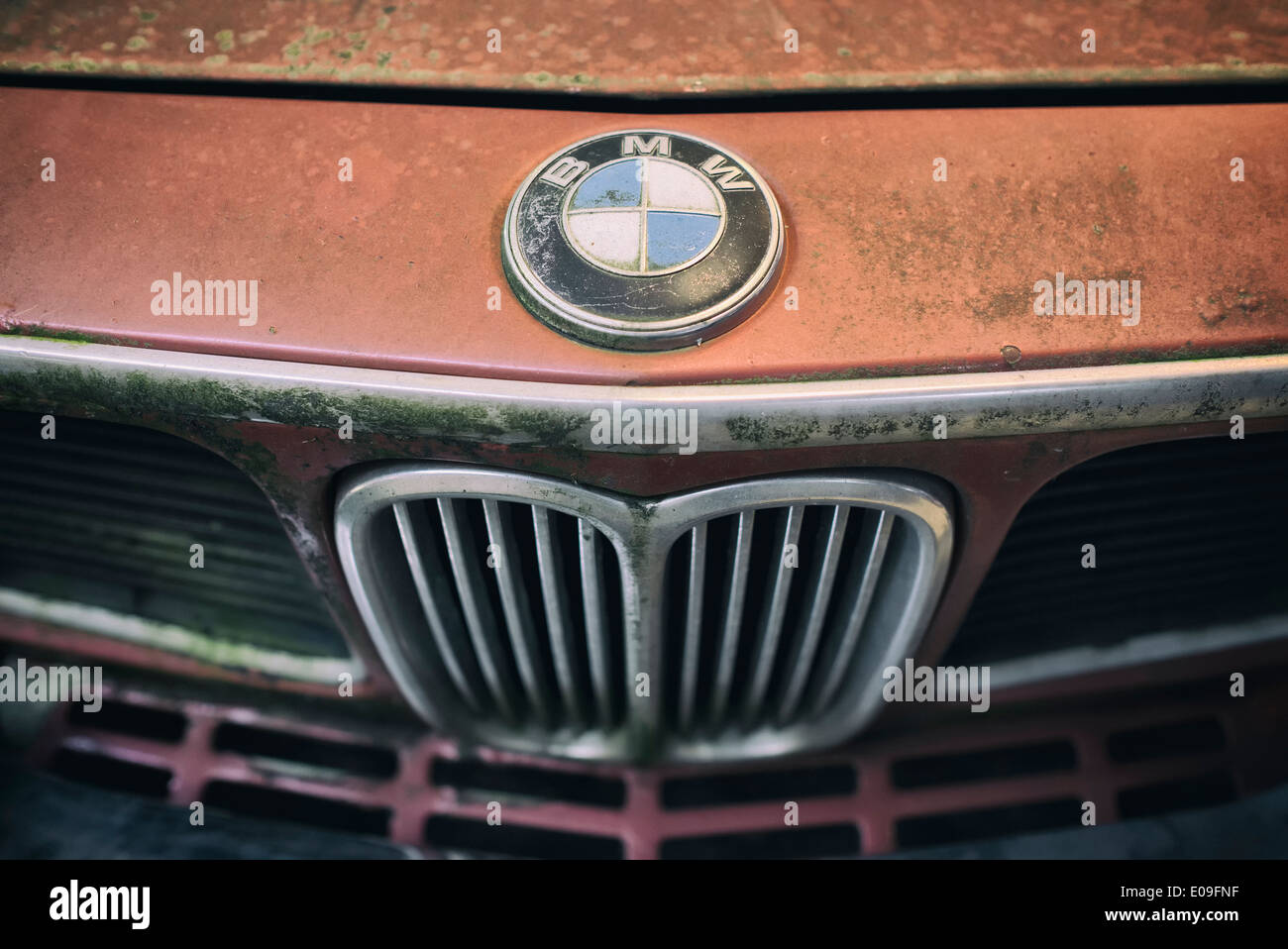 Grille de calandre et le logo de vintage car BMW E3 Banque D'Images