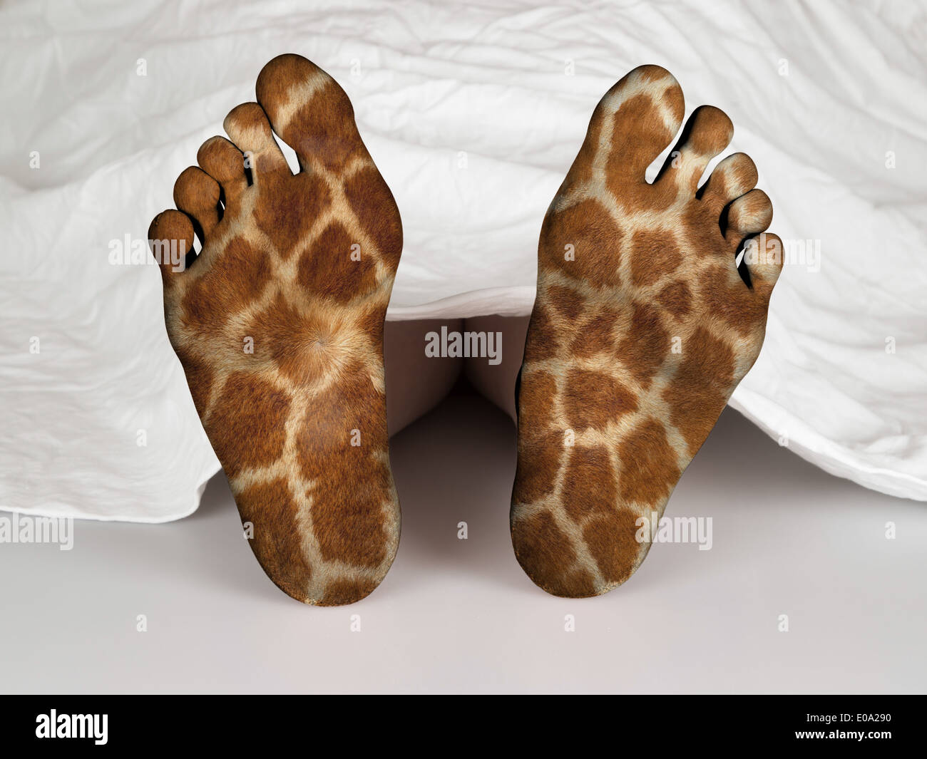 Corps mort sous un drap blanc concept de dormir ou la mort d'impression girafe Banque D'Images