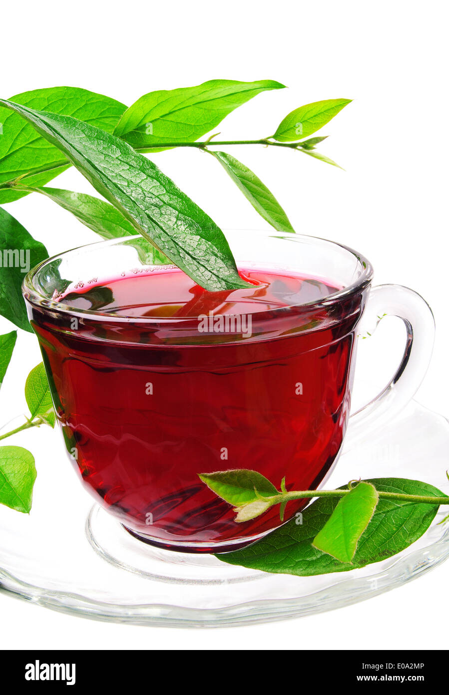 Tasse de thé rouge et une branche avec des feuilles vertes isolated on white Banque D'Images