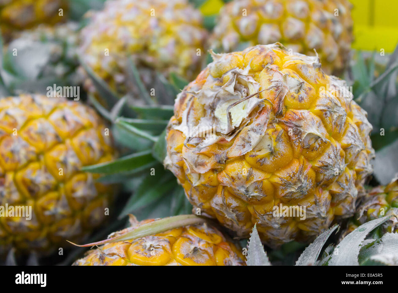 Beaucoup d'ananas fruit background Banque D'Images