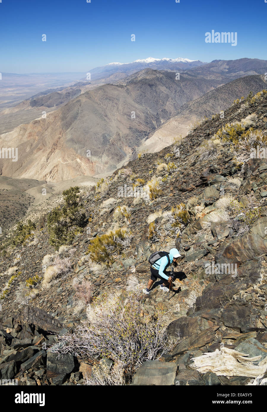 Une femme de randonnée du désert montagne noire dans les montagnes blanches de Californie Banque D'Images