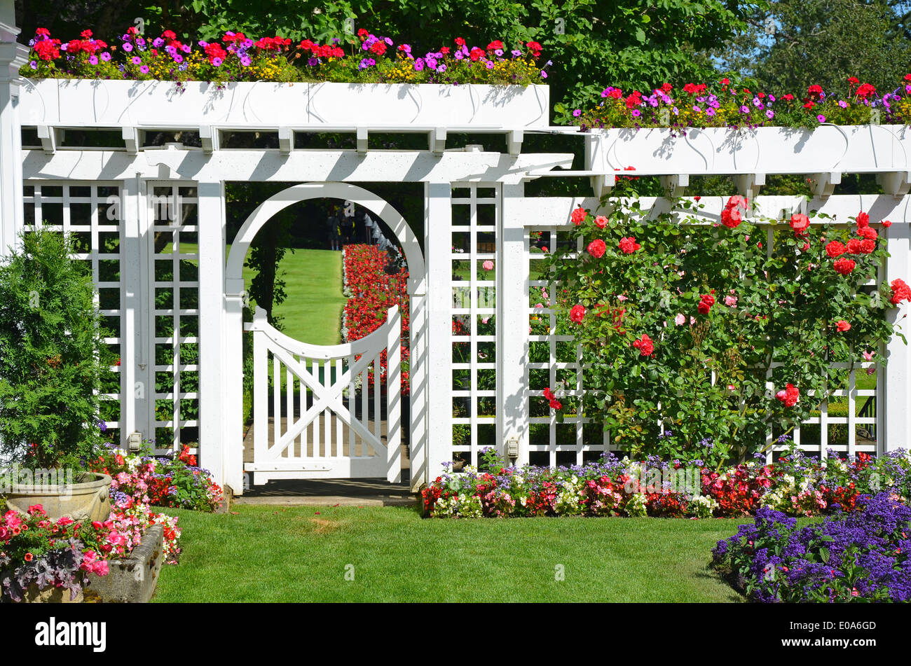 White garden gate et clôture en jardin botanique coloré Banque D'Images