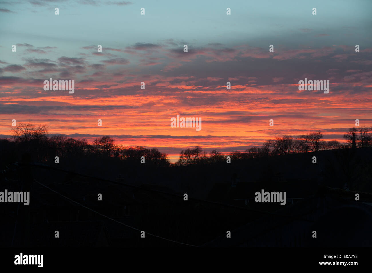 Ciel coucher de soleil spectaculaire et la silhouette des arbres. Hampshire UK Banque D'Images
