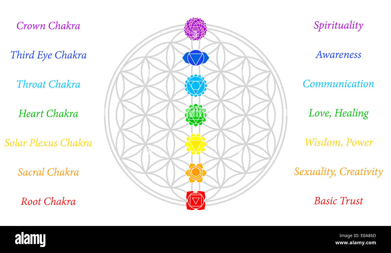 Les sept chakras principaux et leurs significations, qui correspondent parfaitement sur les jonctions de la Fleur-de-Life-Symbol. Banque D'Images