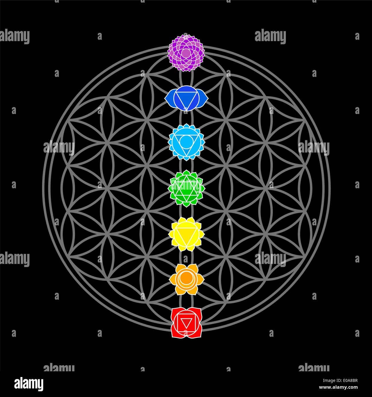 Les sept chakras principaux, qui correspondent parfaitement sur les jonctions de la Fleur-de-Life-Symbol. Banque D'Images