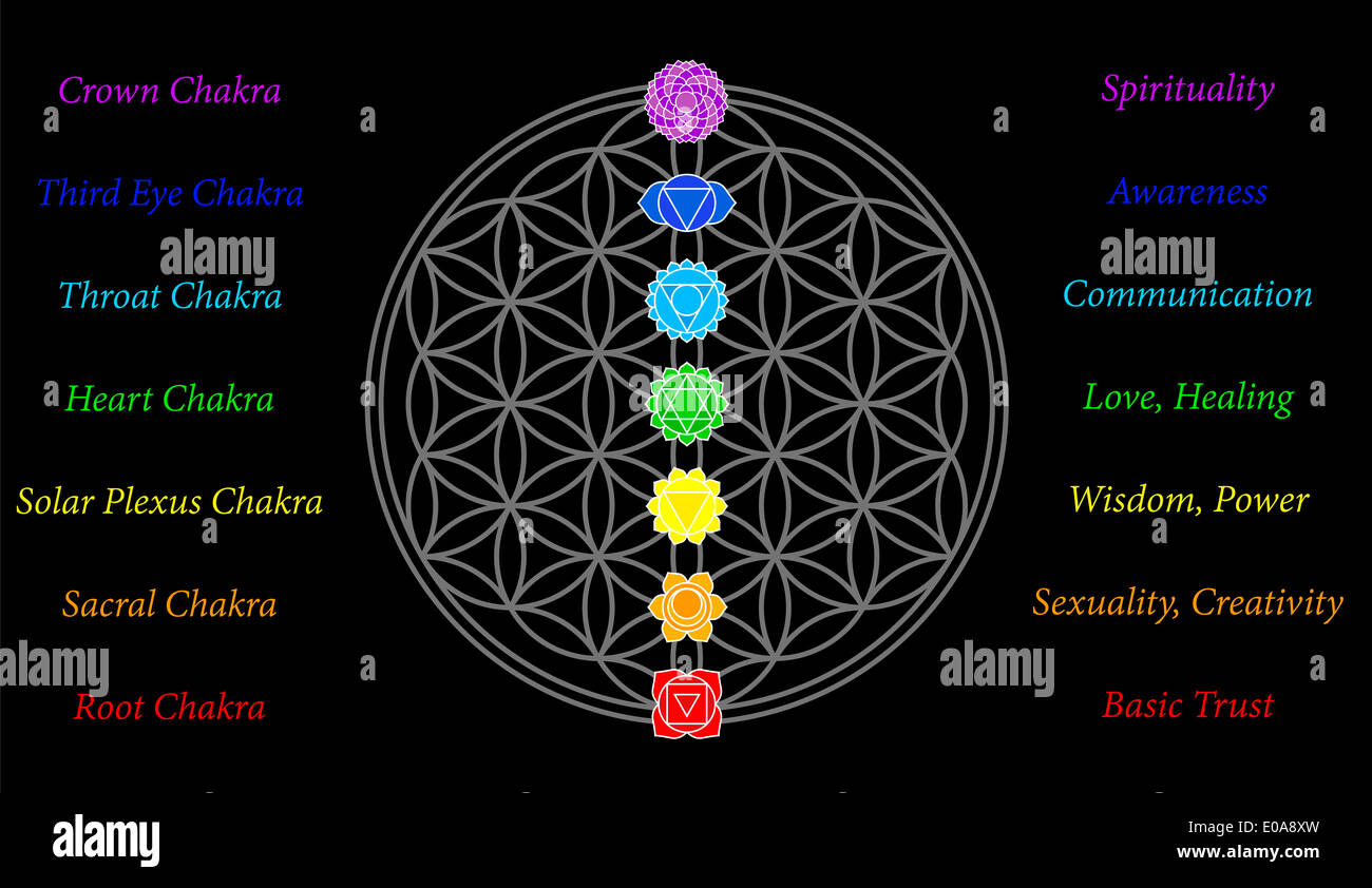 Les sept chakras principaux et leurs significations, qui correspondent parfaitement sur les jonctions de la Fleur-de-Life-Symbol. Banque D'Images