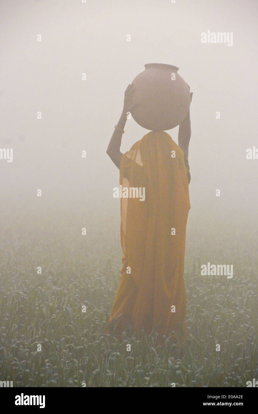 Femme en sari portant de l'eau sur un matin brumeux en Inde Banque D'Images