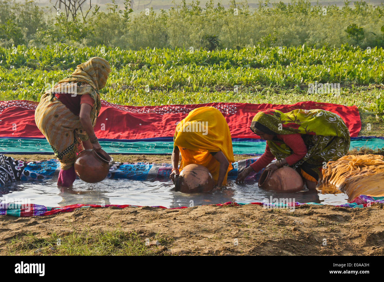 Les femmes remplissant les pots d'argile avec de l'eau, Nagla Kachhpura, Agra, Inde Banque D'Images