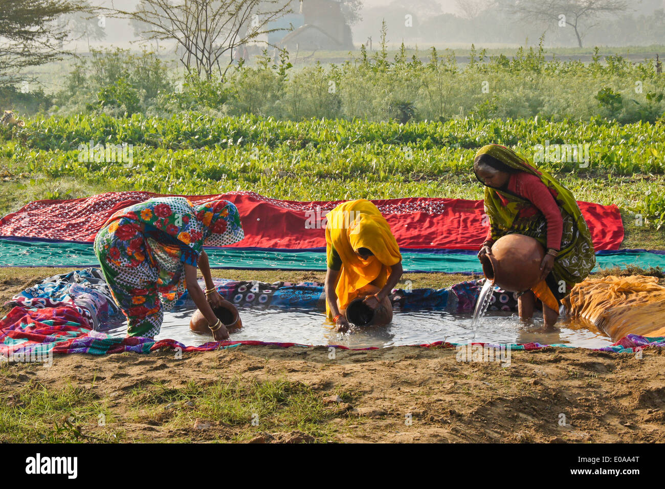 Les femmes remplissant les pots d'argile avec de l'eau, Nagla Kachhpura, Agra, Inde le remplissage des pots d'argile avec de l'eau, Nagla Kachhpura, Agra, Inde Banque D'Images