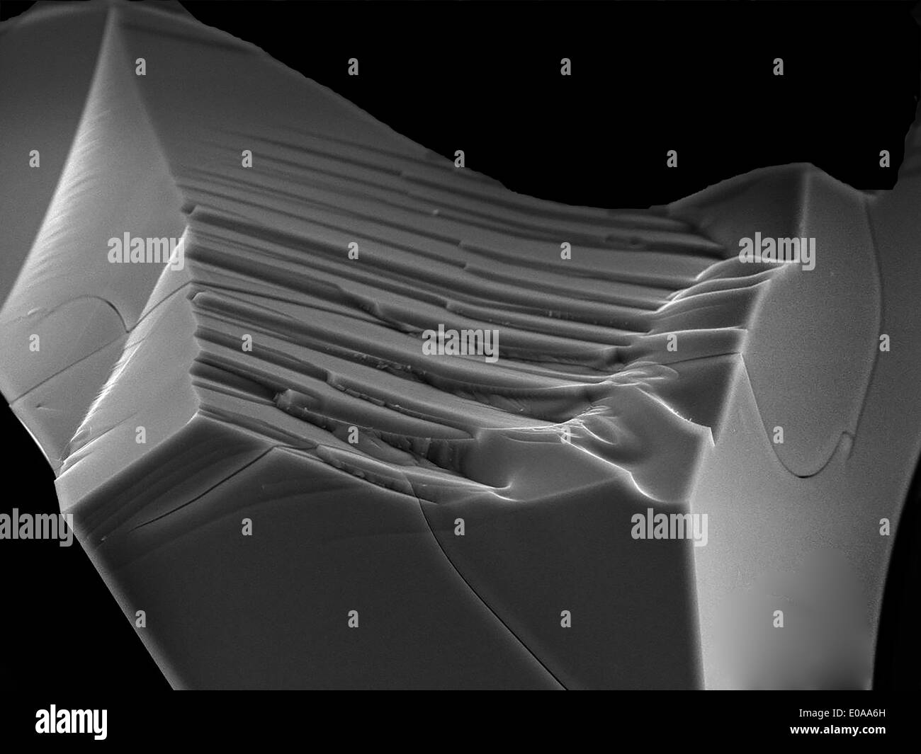 Libre à partir de la météorite un microscope électronique Banque D'Images