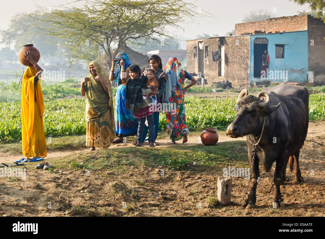 Les habitants du village et les buffles d'eau en face de la maison, Nagla Kachhpura, Agra, Inde Banque D'Images