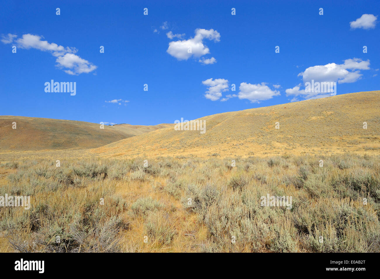 Hills, le parc national de Yellowstone, Wyoming, USA Banque D'Images