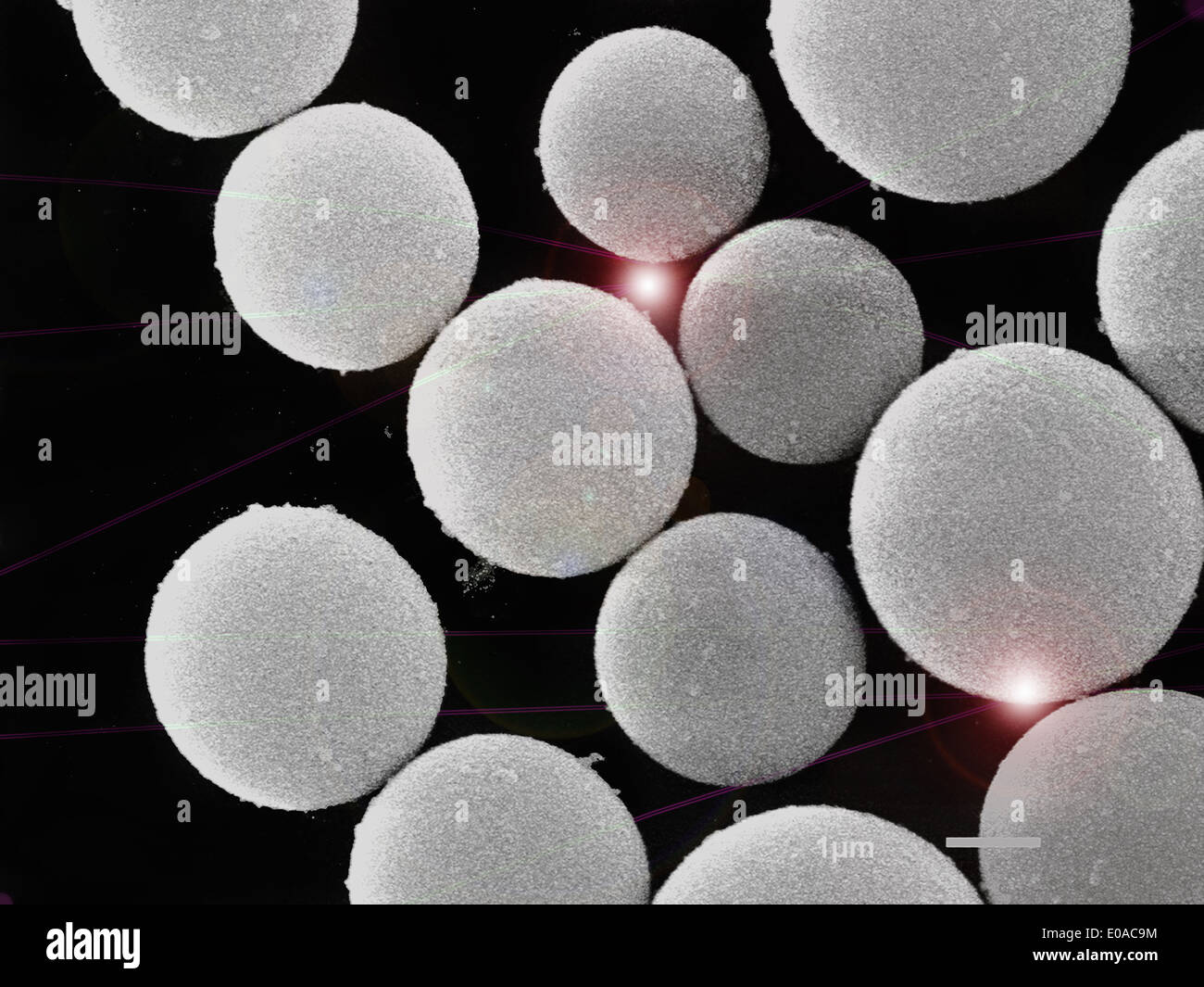 SEM image de dioxyde de silicium SiO2, enduit de balles vides et de l ...