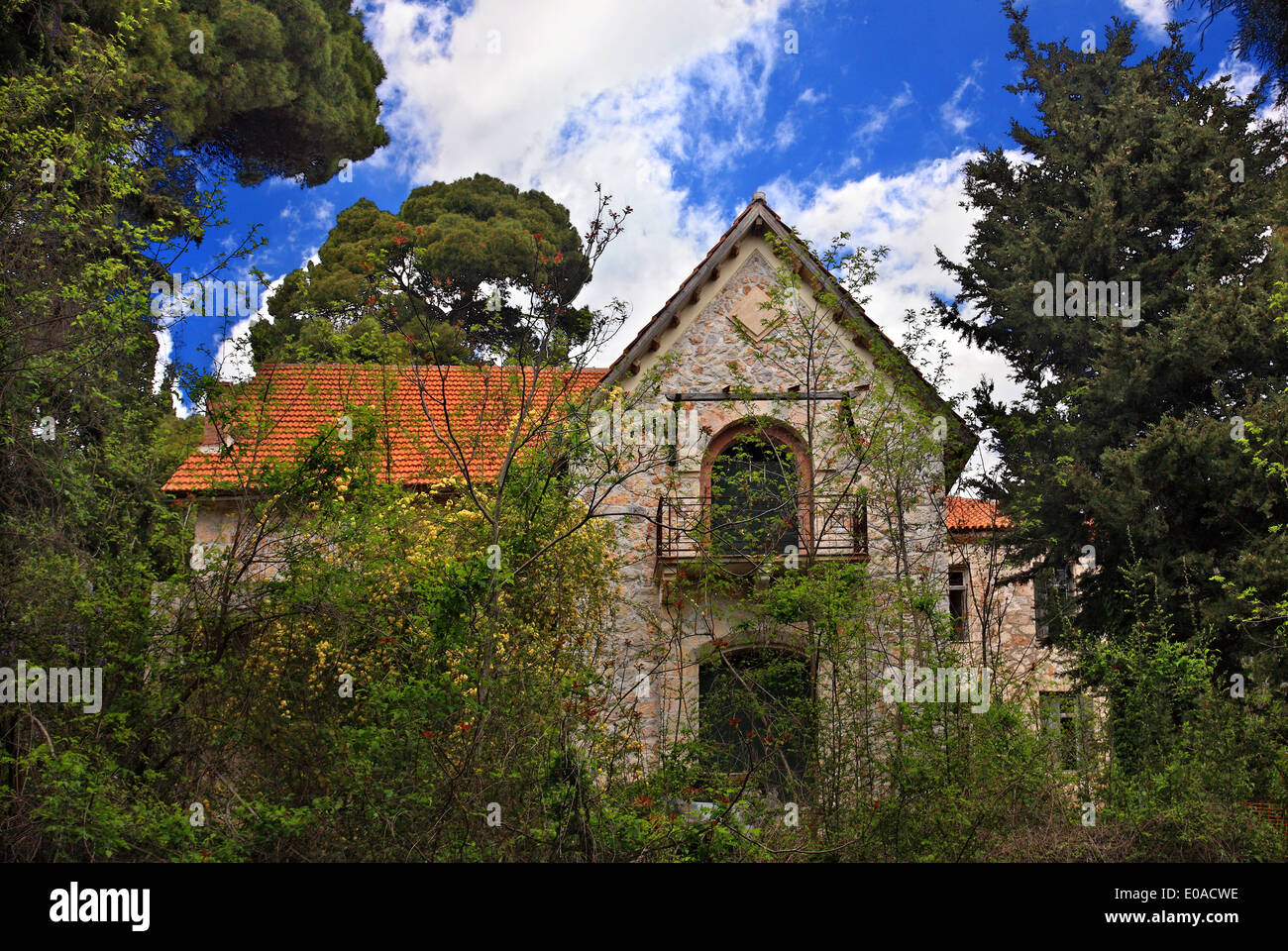 Les bâtiments anciens, à l'ancien domaine royal de Tatoi, Attique, Grèce. Banque D'Images