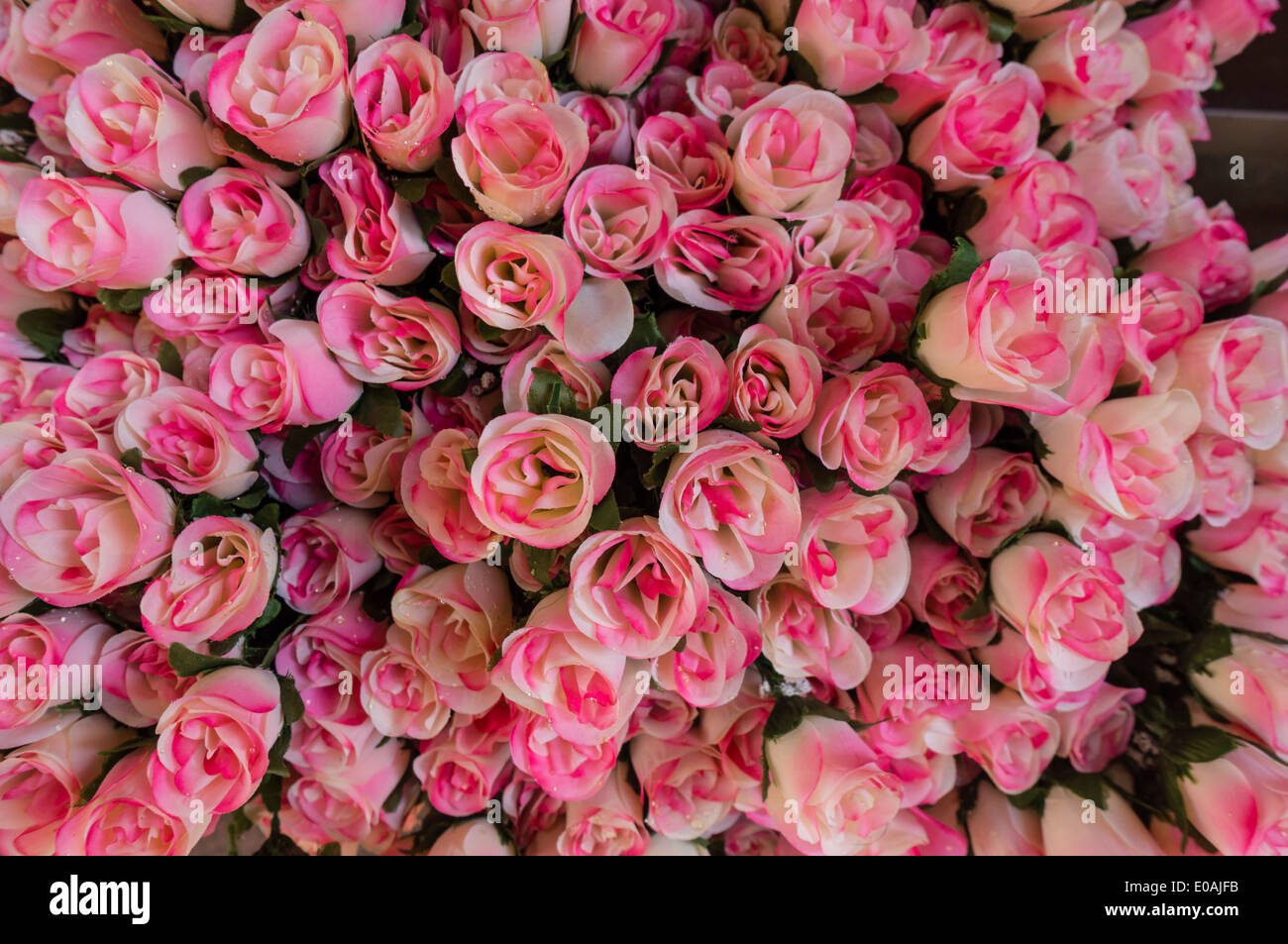 Fleurs Roses Marché Aux Fleurs Nice Alpes Maritimes - 