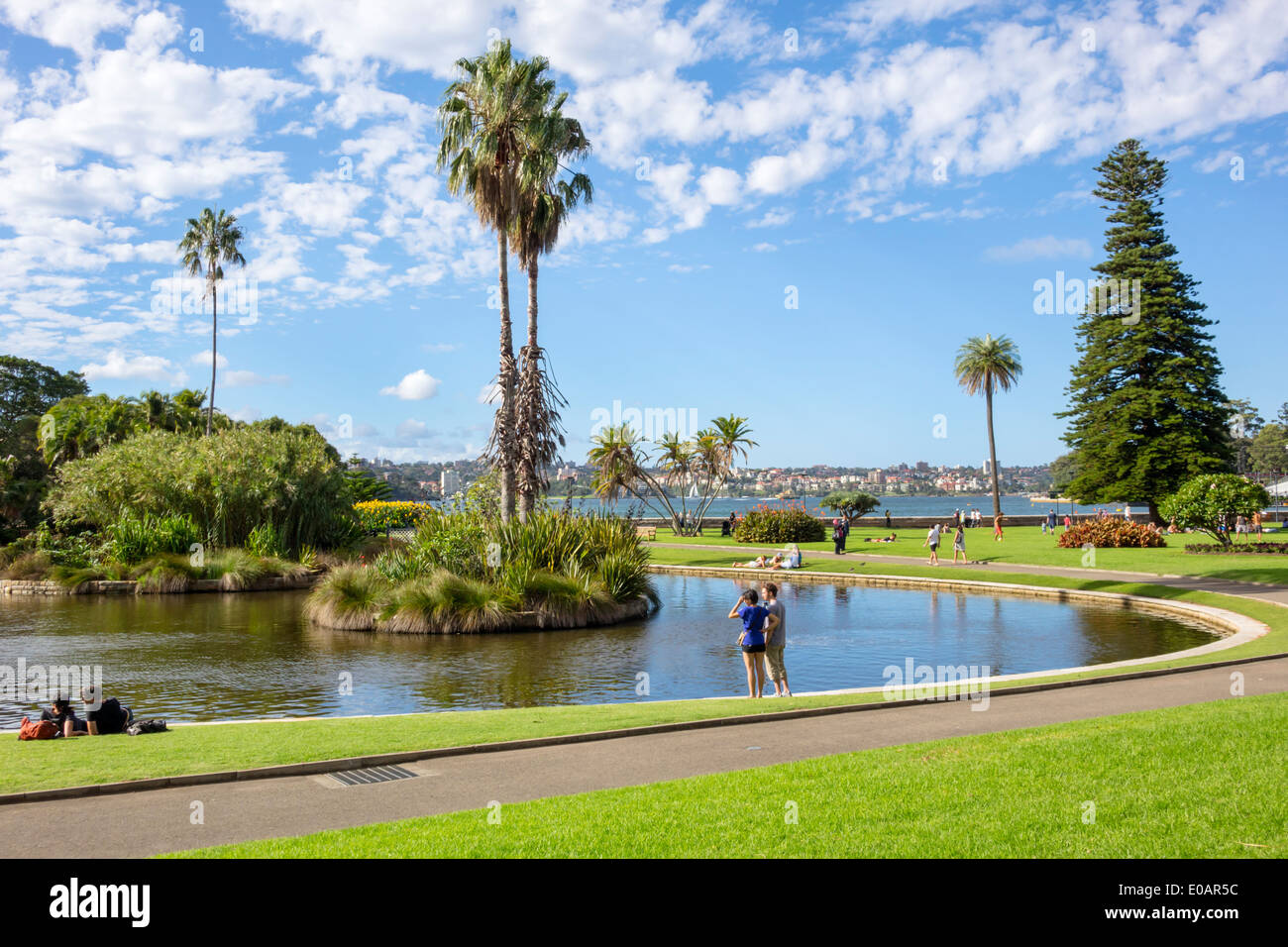 Sydney Australie, Royal Botanic Gardens, main Pond, Farm Cove, Sydney Harbour, port, parc, AU140309175 Banque D'Images