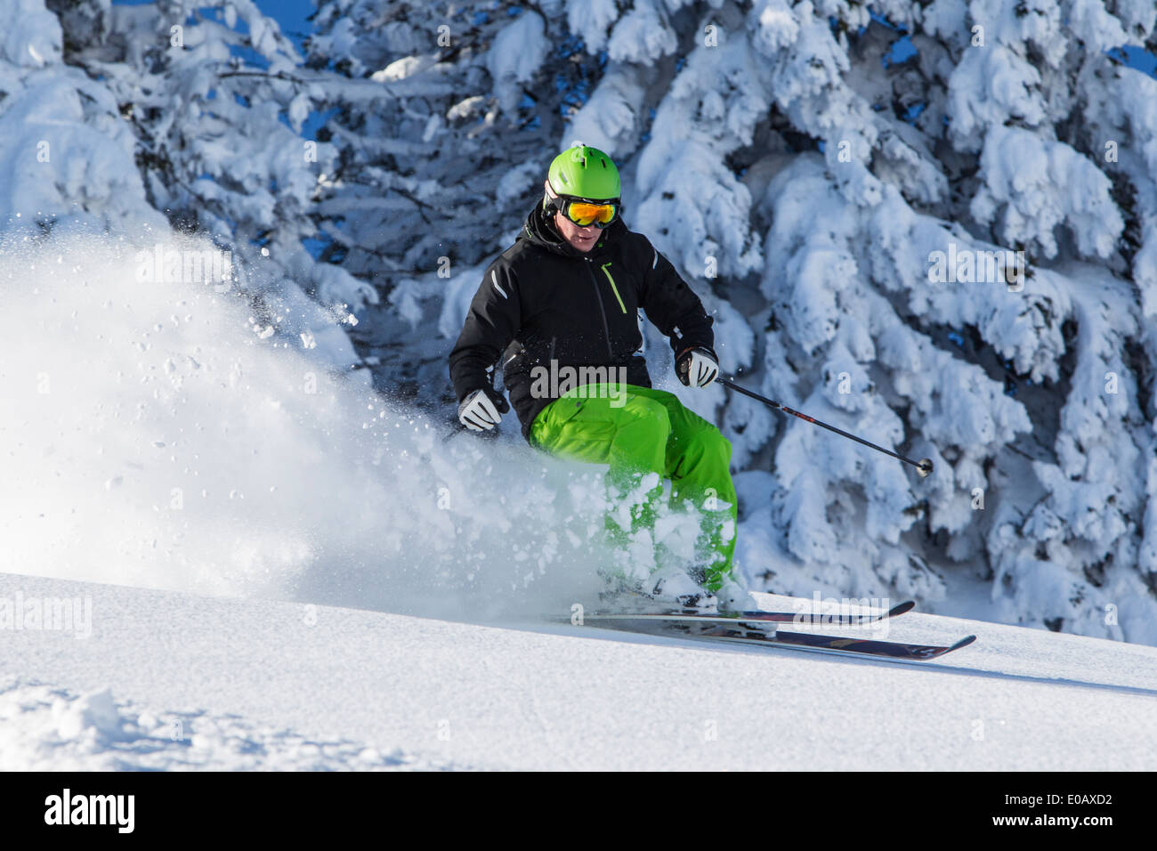Allemagne, Bavière, Sudelfeld, skieur en poudreuse profonde Banque D'Images