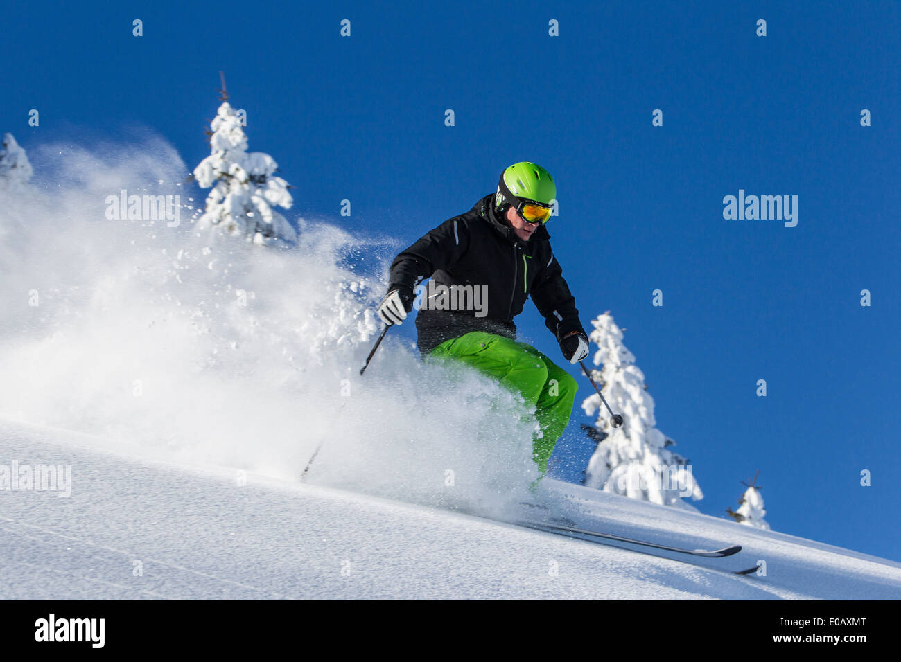 Allemagne, Bavière, Sudelfeld, skieur en poudreuse profonde Banque D'Images